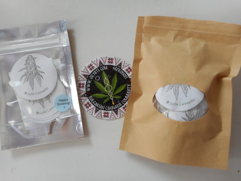 SofiaCannabisseeds-min.JPG