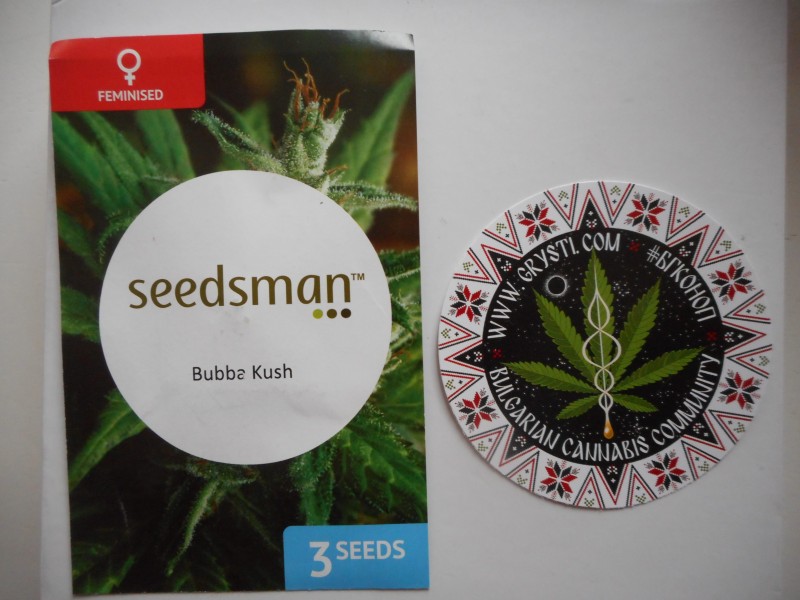 Buba Kush-min.JPG