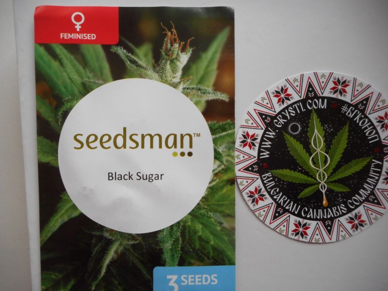 black sugar-min.JPG