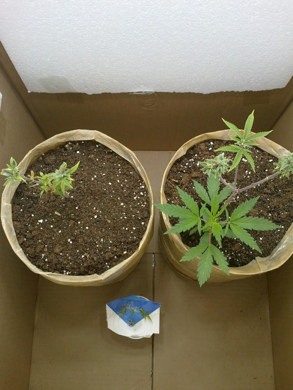 27022020138.jpg