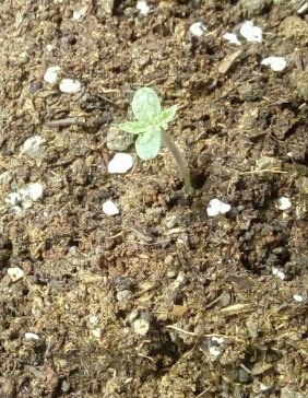 foto_no_exif (11).jpg