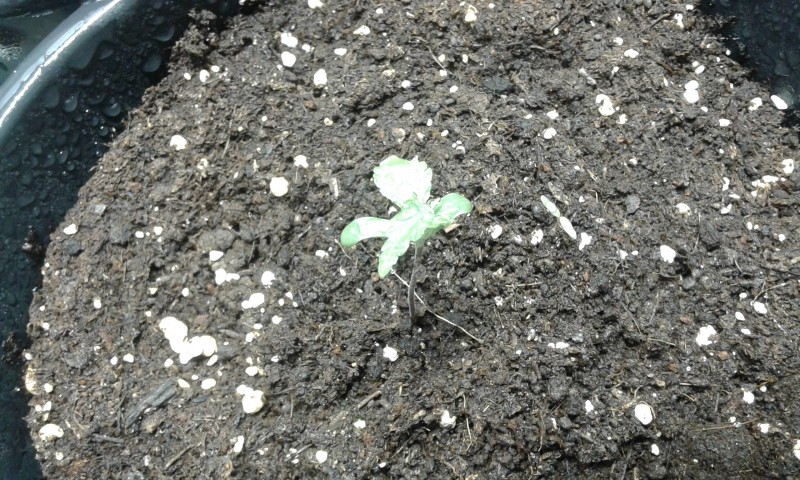 foto_no_exif (19).jpg