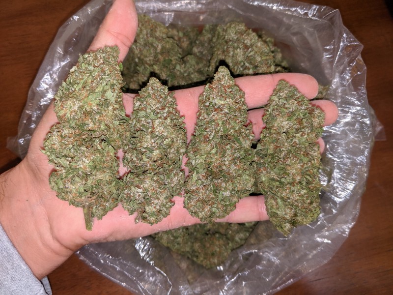 IMG_20191017_002047 (1).jpg