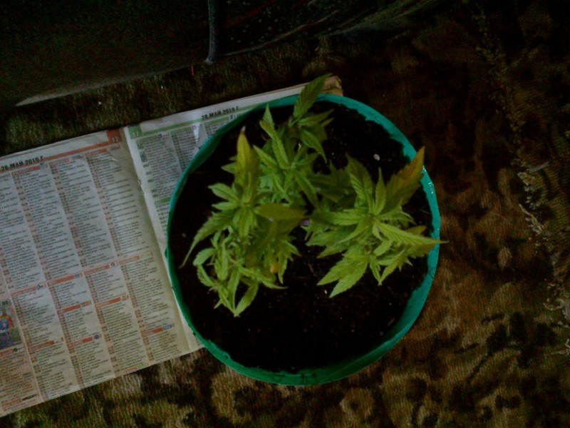 12042020212.jpg