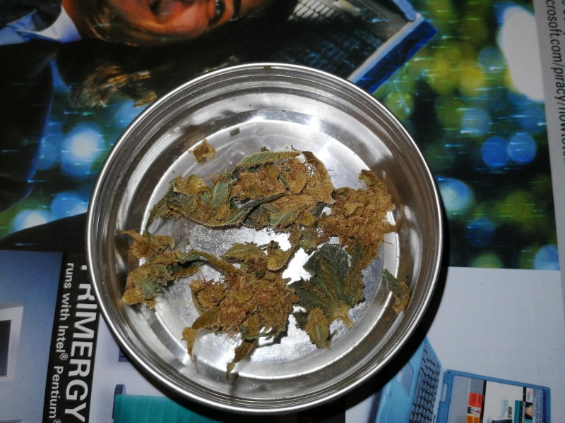 P holy grail 2-min.jpg