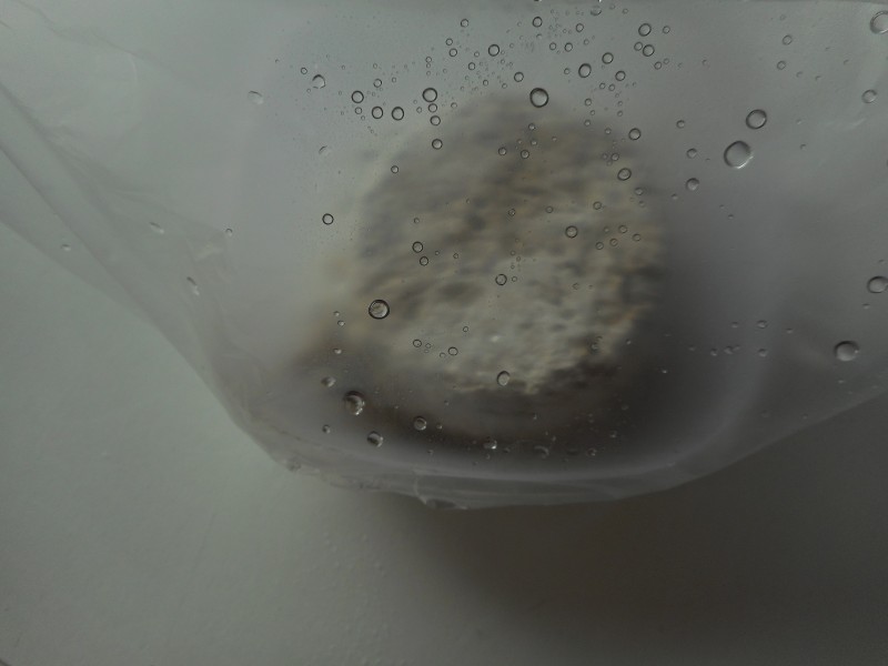 Гъбна торта в пластасова кутия от храна.:С обикновенна пластмасова торба отгоре за да играе ролята на "парник" .