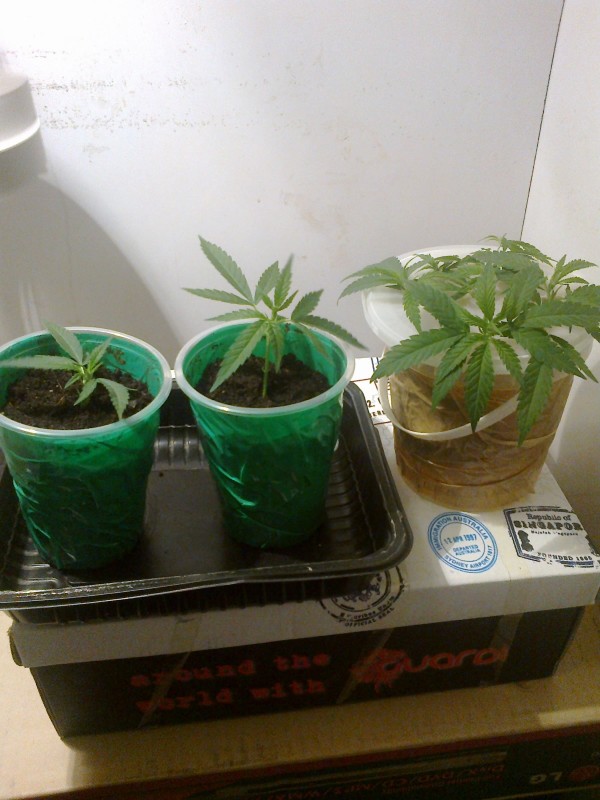 03052020222 - Copy.jpg
