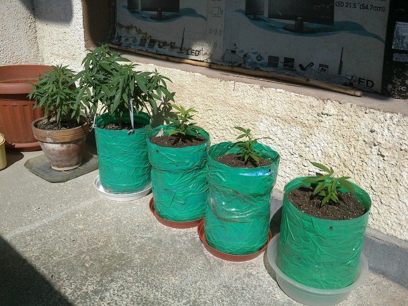 09062020229 - Copy.jpg