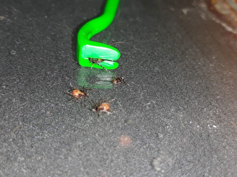 20180607_001327.jpg