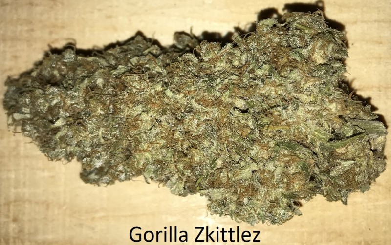 Gorilla Zkittlez.JPG