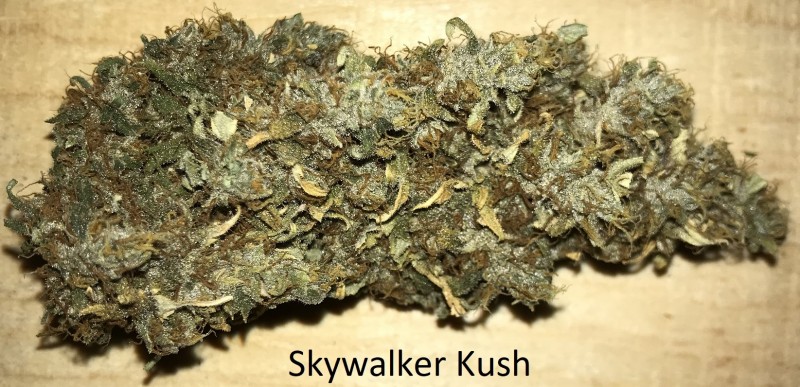 Skywalker Kush.JPG