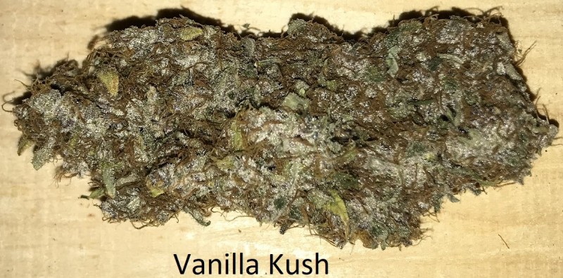Vanilla Kush.JPG