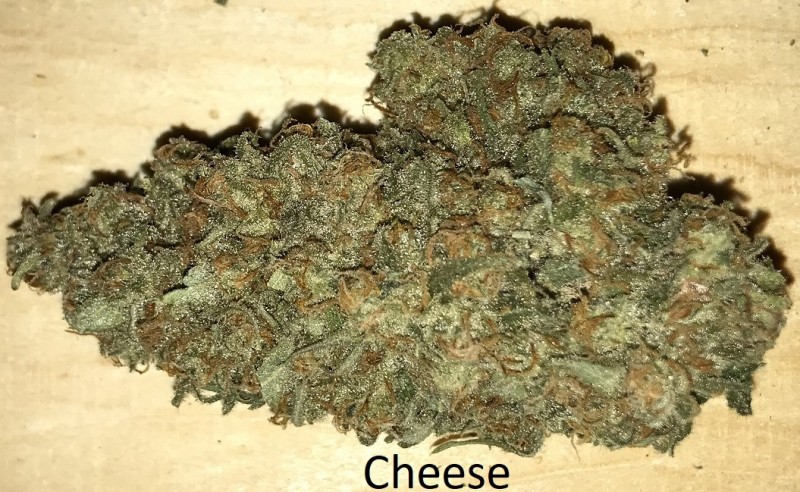 Cheese.JPG