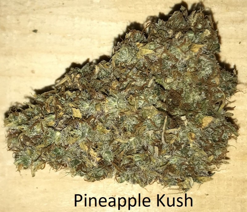 Pine Kush.JPG