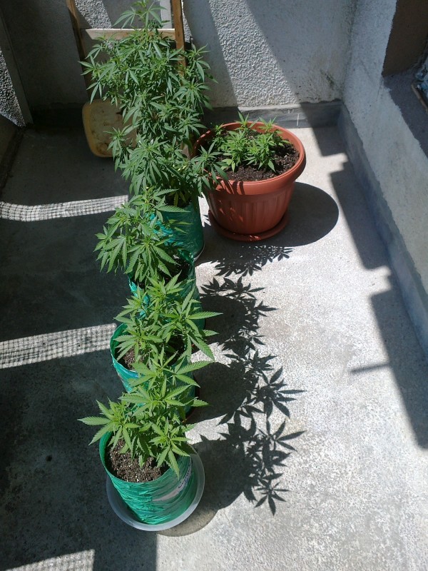 30062020237 - Copy.jpg
