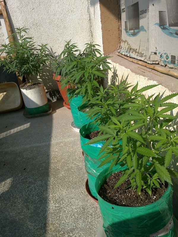 30062020235 - Copy.jpg