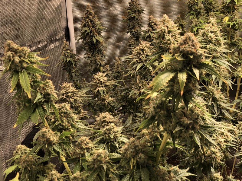 BF6149FF-3438-4E02-B304-F94A6BA71C7E-min.jpeg