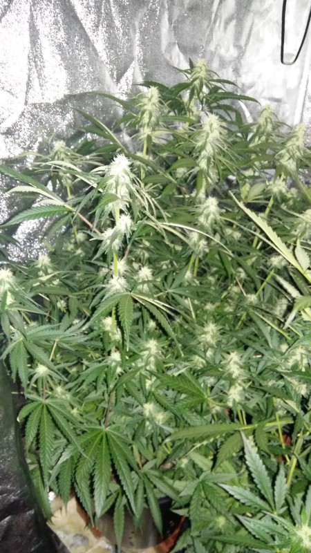 20181117_115116-min.jpg