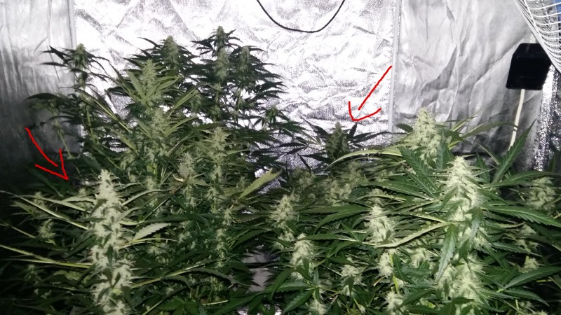 20181117_115836-min.jpg