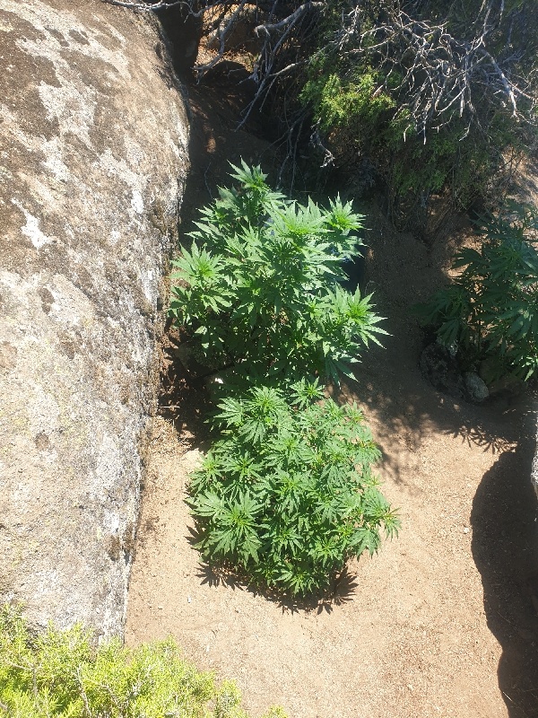20200715_154311_resize_88.jpg