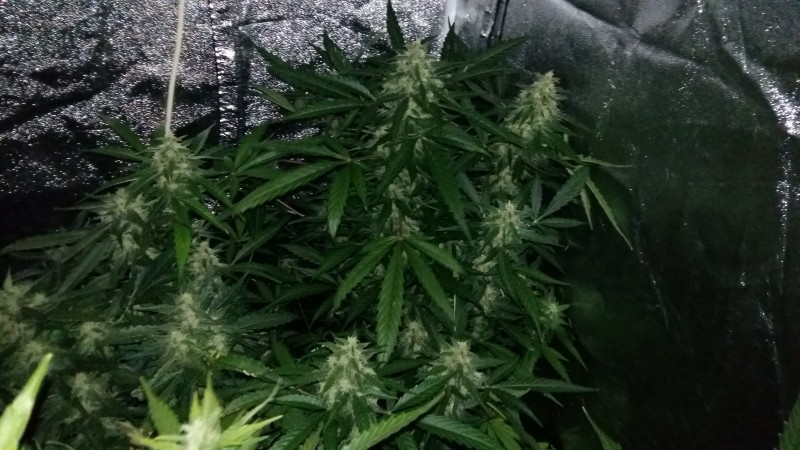 20181124_121634-min.jpg