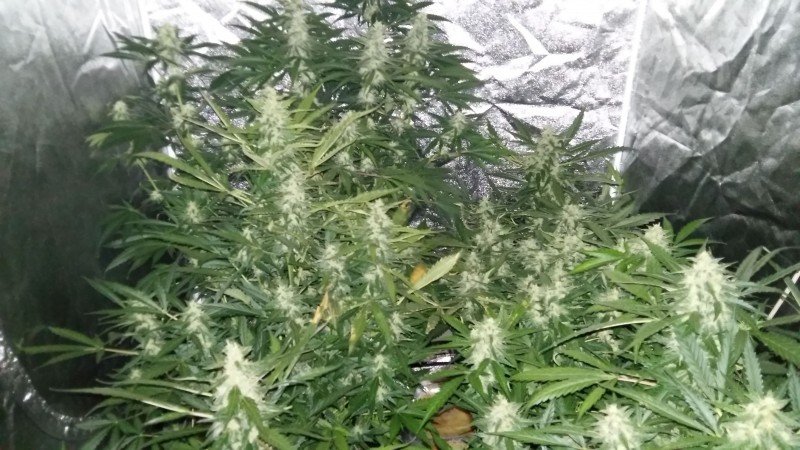 20181124_121847-min.jpg