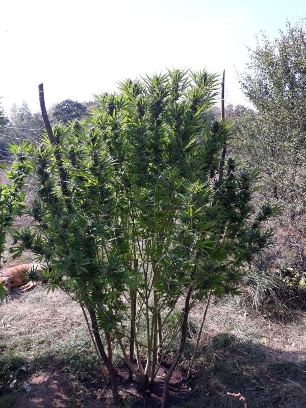 20180924_144852.jpg