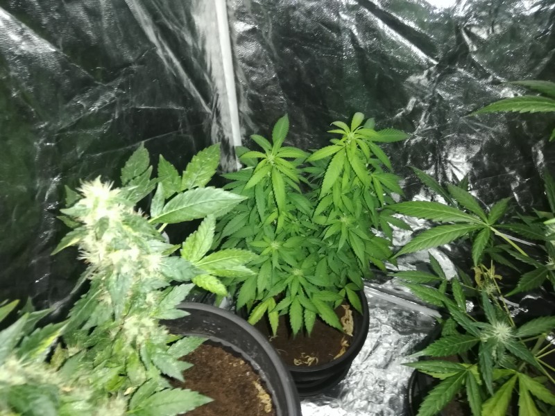 Тва където не слуша