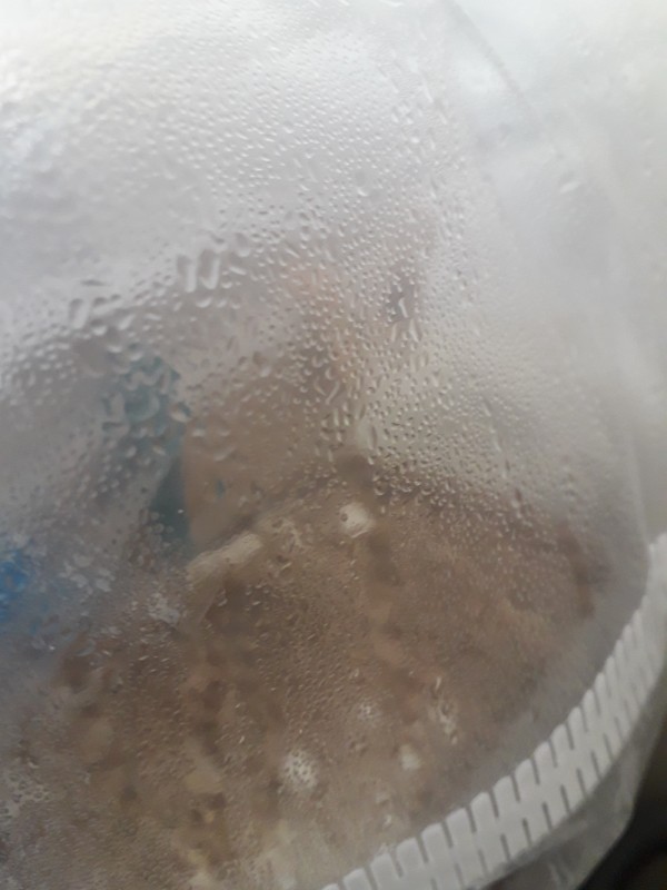 20200902_161812.jpg