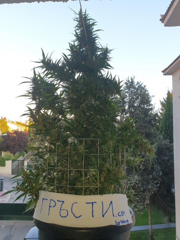 20200905_202113.jpg