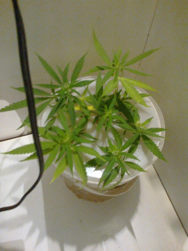 10092020267 - Copy.jpg