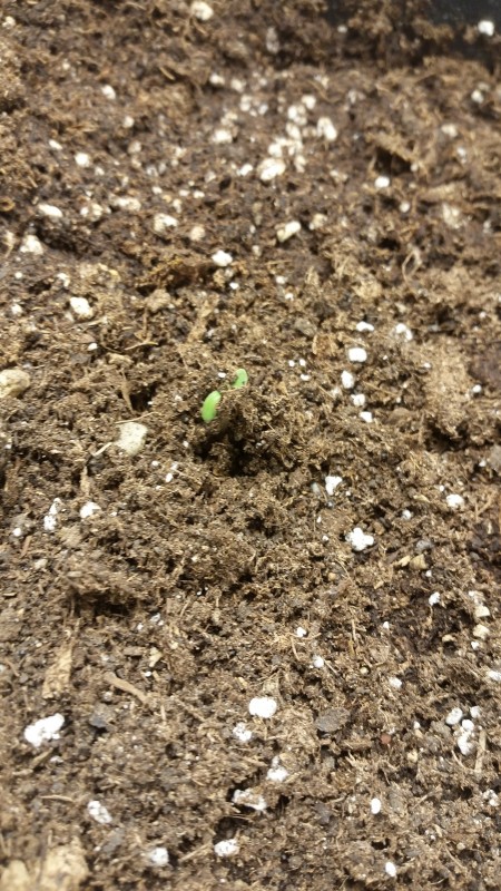 Такива снимки много рядко съм правил на старта - радват ме