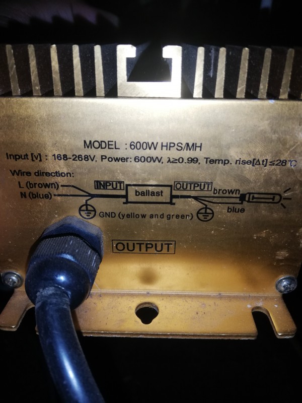 IMG_20201005_202030.jpg