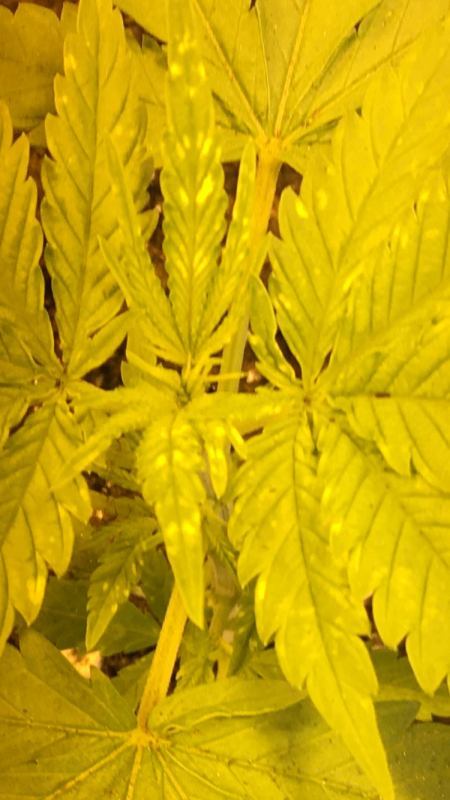 E872C2B7-2258-43BE-B839-45FF11F45538.png