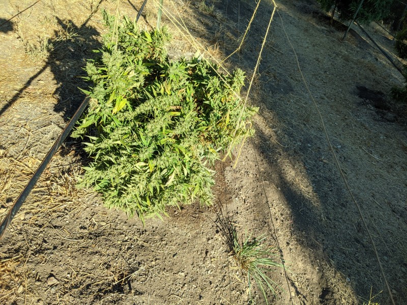 PXL_20201013_155729750.jpg