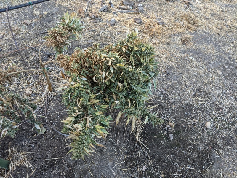 PXL_20201102_210621305.jpg