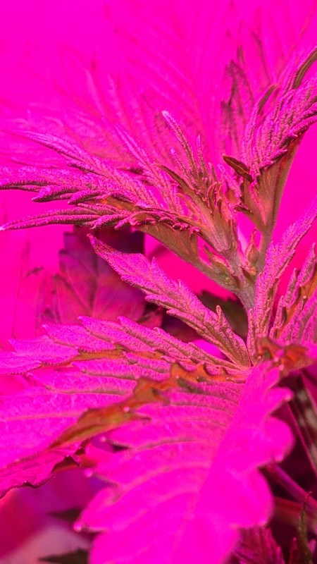 20201107_190237.jpg
