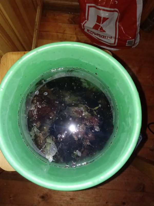 IMG_20201110_123754.jpg