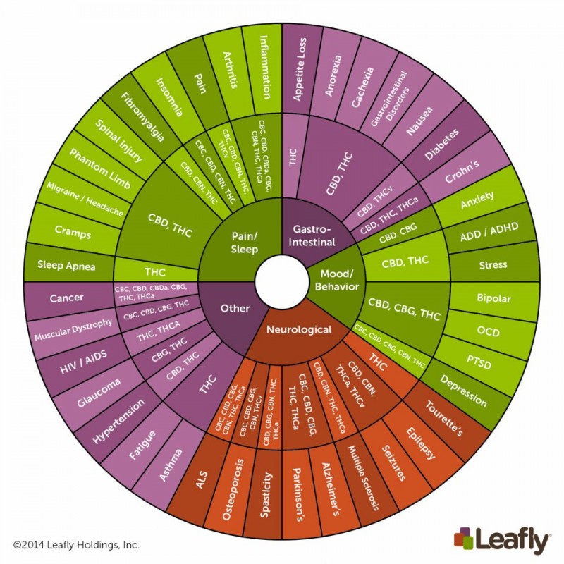 PLUe6NdETsirqg7Y9Hkf_Cannabinoid-Wheel-Final-English-960x960.jpg