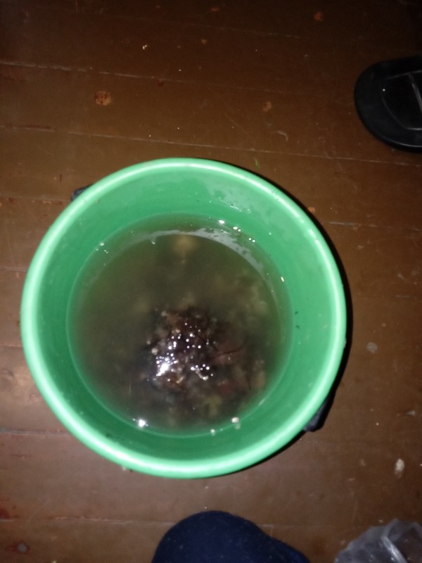 IMG_20201116_101948.jpg