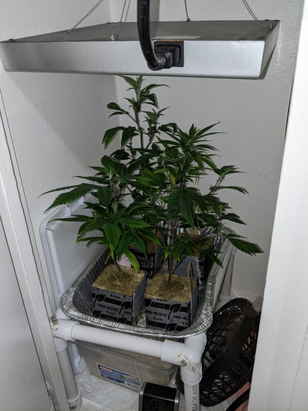 PXL_20201205_211800561.jpg