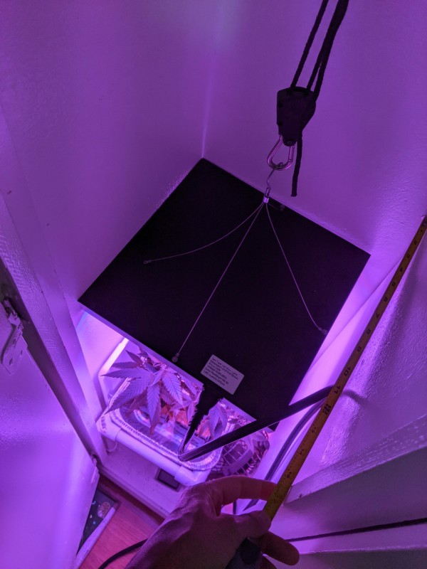 PXL_20201205_211715408.jpg
