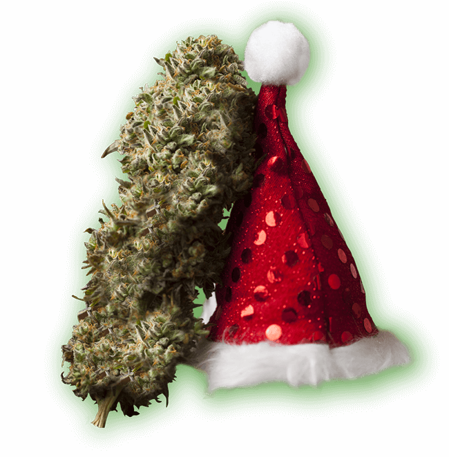 seeds-dec-xmas-el-hat-650.png