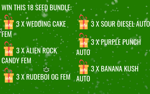 Писмен списък с канабис семената за по-лесно търсене на информация за тях:<br />3 x Wedding Cake Fem<br />3 x Alien Rock Candy Fem<br />3 x RudeBoi OG Fem<br />3 x Sour Diesel Auto<br />3 x Purple Punch Auto<br />3 x Banana Kush Auto
