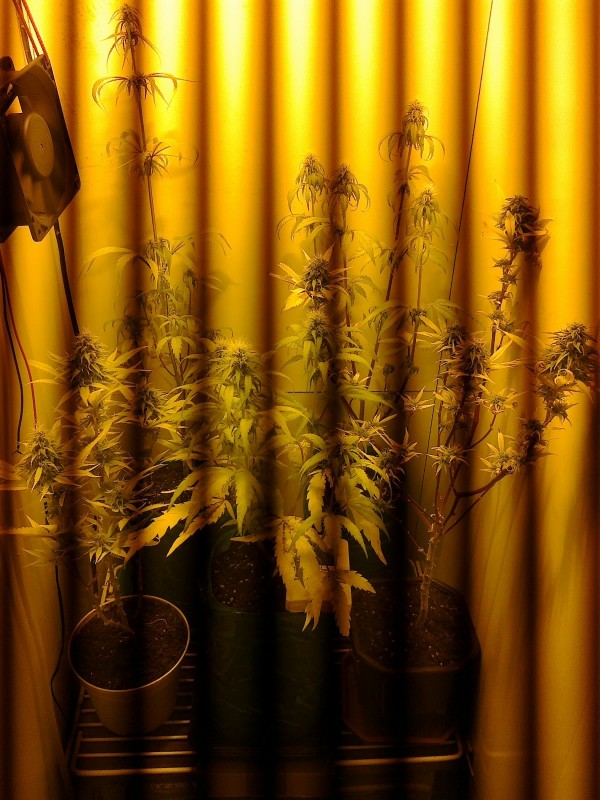 22012021345 - Copy.jpg