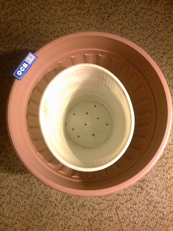 25012021348 - Copy.jpg