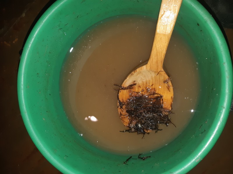 20210201_104849.jpg