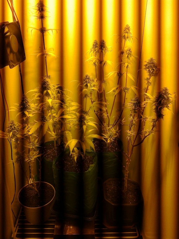 05022021358 - Copy.jpg