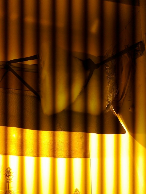 12022021370 - Copy.jpg