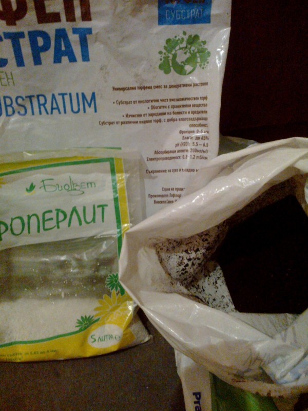 12022021376 - Copy.jpg